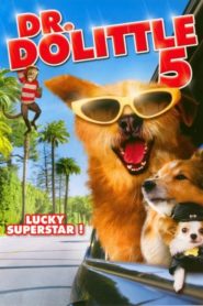 Dr. Dolittle: Million Dollar Mutts