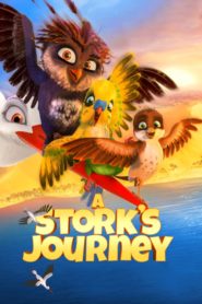 A Stork’s Journey