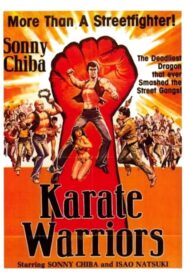 Karate Warriors