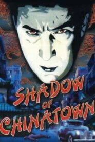 Shadow of Chinatown