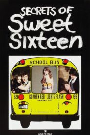 Secrets of Sweet Sixteen