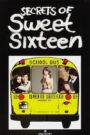 Secrets of Sweet Sixteen