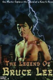 Legend of Bruce Lee