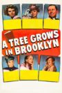 A Tree Grows in Brooklyn