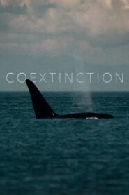 Coextinction