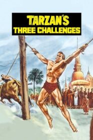 Tarzan’s Three Challenges