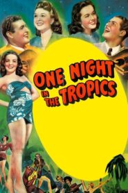 One Night in the Tropics