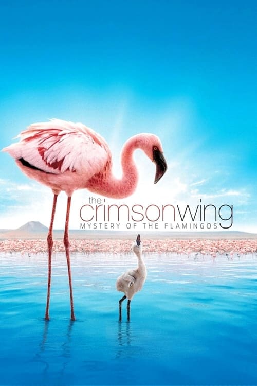 The Crimson Wing: Mystery of the Flamingos