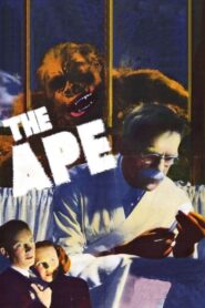 The Ape