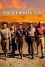 The Professionals