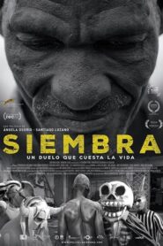 Siembra