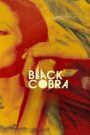 Black Cobra