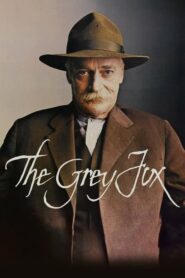 The Grey Fox