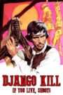 Django Kill… If You Live, Shoot!