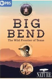 Big Bend: The Wild Frontier of Texas