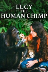 Lucy the Human Chimp