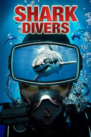 Shark Divers