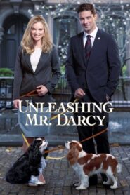 Unleashing Mr. Darcy