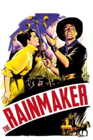 The Rainmaker