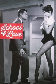 School for Love