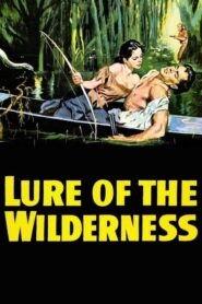 Lure of the Wilderness