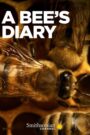 A Bee’s Diary