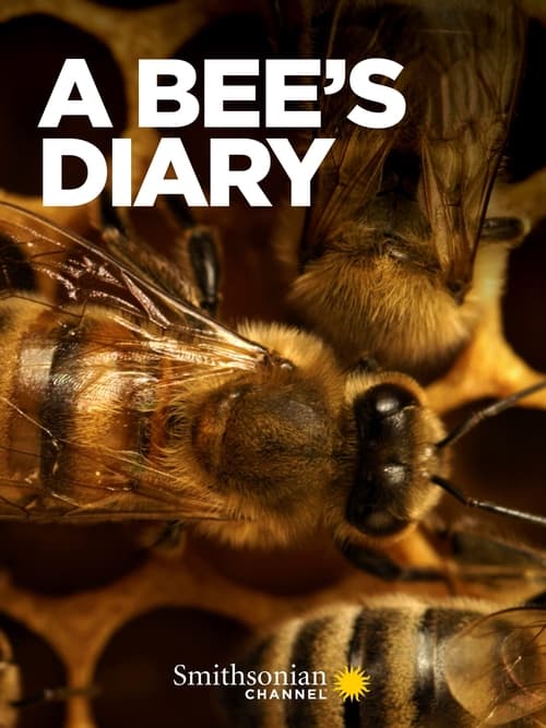 A Bee’s Diary