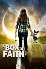 A Box of Faith