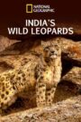 India’s Wild Leopards