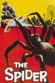 The Spider