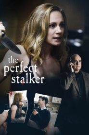 The Perfect Stalker