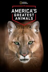 America’s Greatest Animals