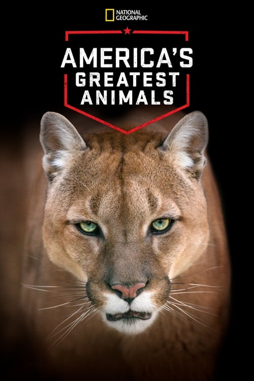 America’s Greatest Animals