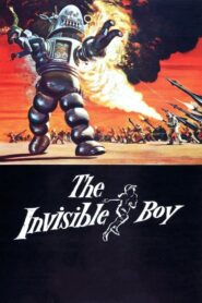 The Invisible Boy