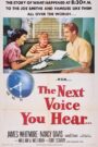 The Next Voice You Hear…