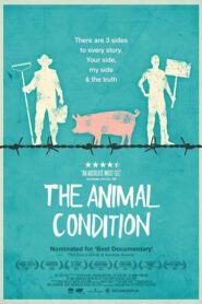 The Animal Condition