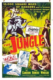 The Jungle