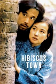 Hibiscus Town