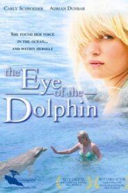 Eye of the Dolphin