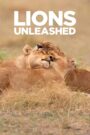 Lions Unleashed