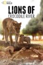 Lions of Crocodile River