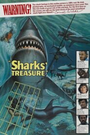 Sharks’ Treasure