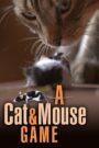 A Cat and Mouse Game