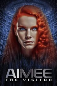 AIMEE: The Visitor