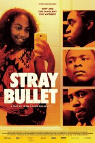 Stray Bullet