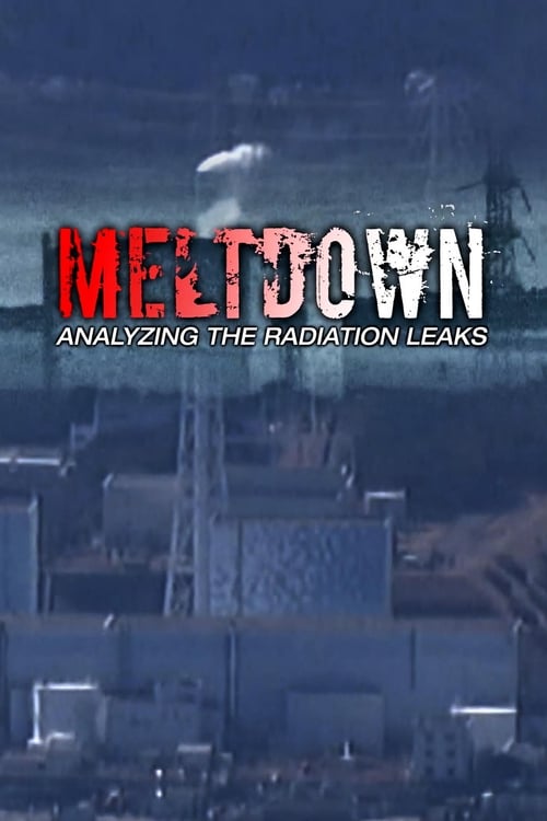 Meltdown: Analyzing the Radiation Leaks