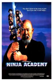 Ninja Academy