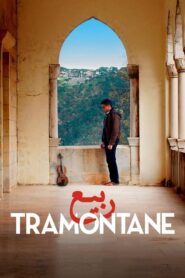 Tramontane