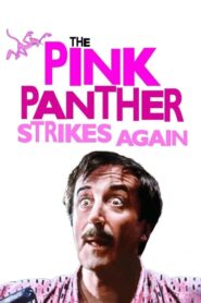 The Pink Panther Strikes Again