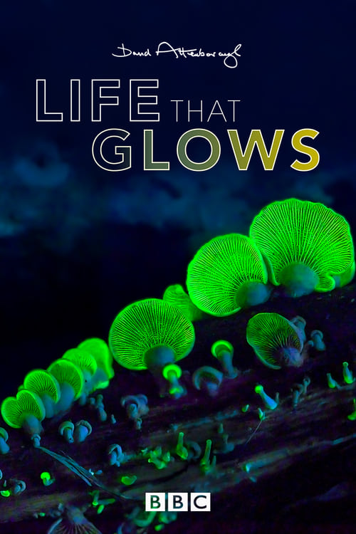 Attenborough’s Life That Glows